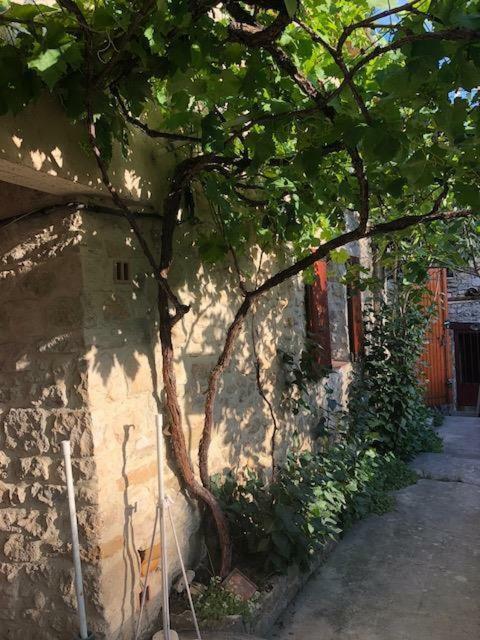 Villa Fontaine-de-Vaucluse : maison avec vues Extérieur photo